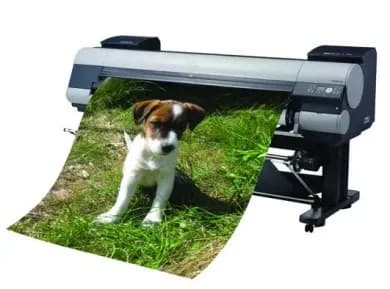 Canon iPF9400S -suurkuvatulostin kesken tulostuksen, näytöllä koiran valokuva